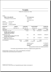 ProfitTárs 2007 invoice preview