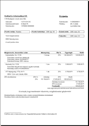 ProfitTárs 2007 invoice preview